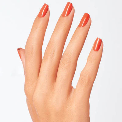 My Chihuahua Doesn't Bite Anymore